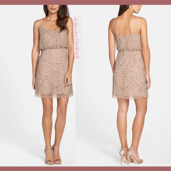 NEW Adrianna Papell Sequin Mesh Blouson Dress in Taupe Pink‎ [SZ 16 ] - Picture 5 of 10